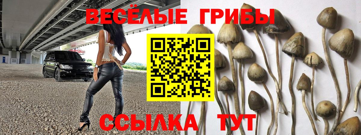 Псилоцибиновые грибы GOLDEN TEACHER Пенза