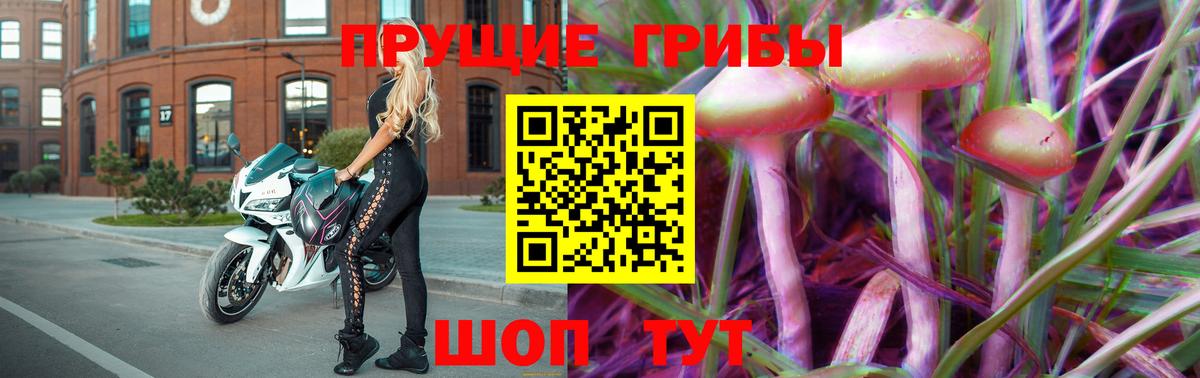 Пенза  Галлюциногенные грибы мухоморы  Вход с VPN 